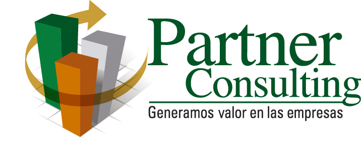 Partner Consulting